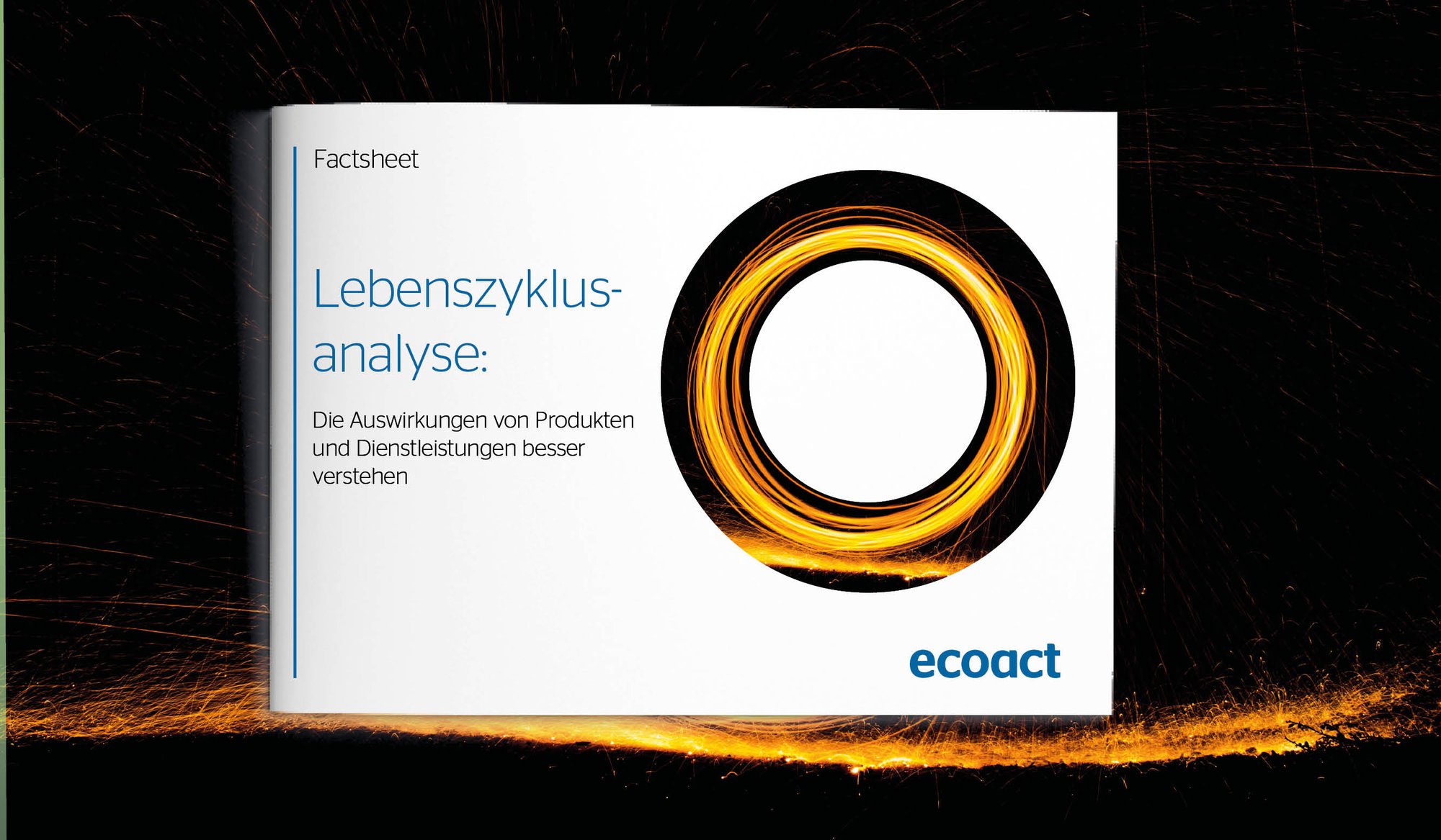 Life Cycle Assessment (LCA)
